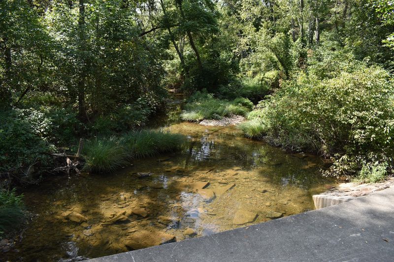 Jefferson National Forest