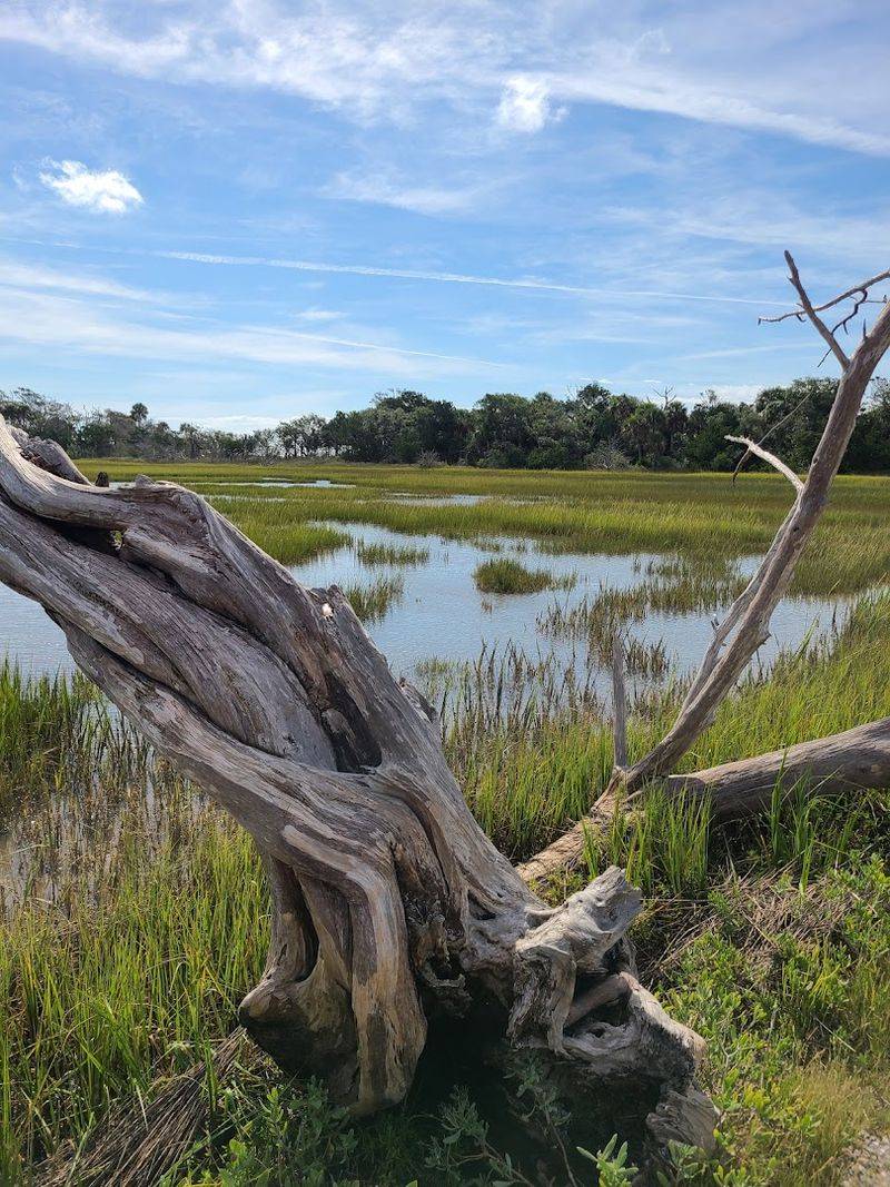 Botany Bay Heritage Preserve (Edisto Island)