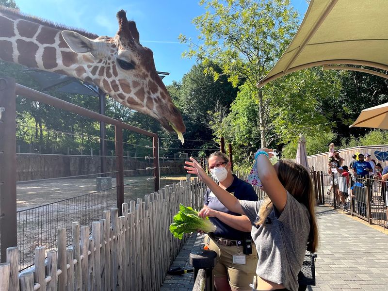 Zoo Atlanta (Atlanta)