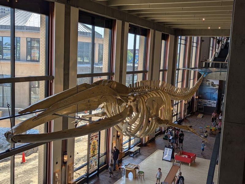 Grand Rapids Public Museum — Grand Rapids