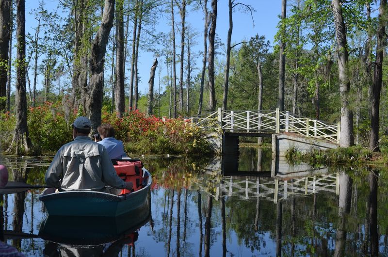 The Paddle Is Peaceful, But It Is Also A Workout