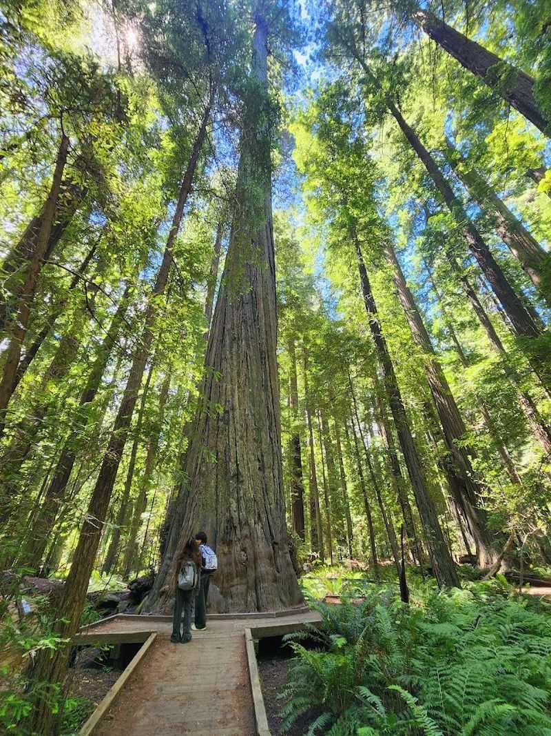 Founders Grove Nature Trail