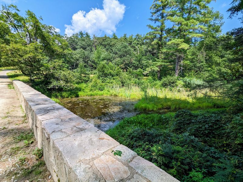 Riverside Trails Along the Merrimack