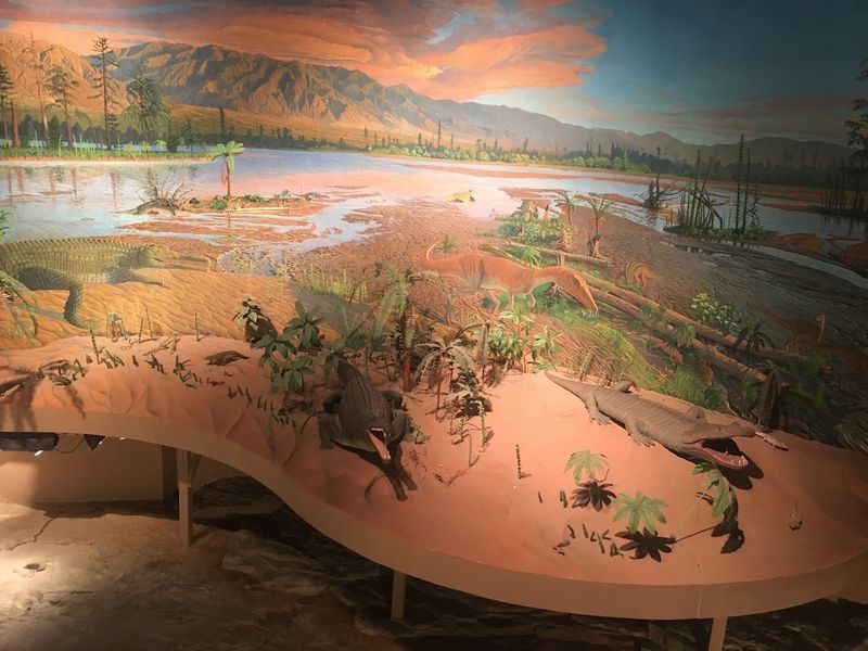 Dinosaur State Park - Rocky Hill, Hartford County