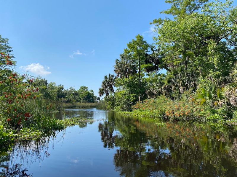 Estuary kayaking and Gulf sunsets - Apalachicola