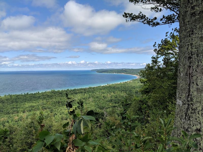 Alligator Hill Trail