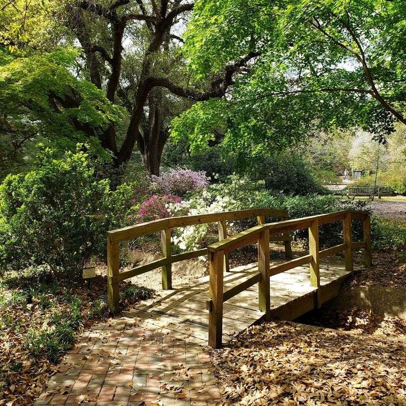 Hopeland Gardens - Aiken, Aiken County