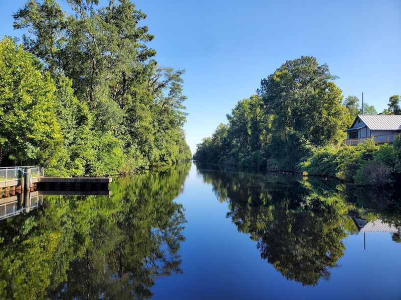 Dismal Swamp State Park &mdash; South Mills