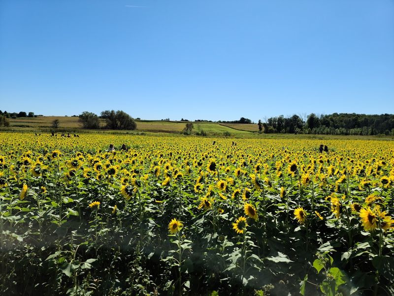 Ed Dunneback & Girls Farm