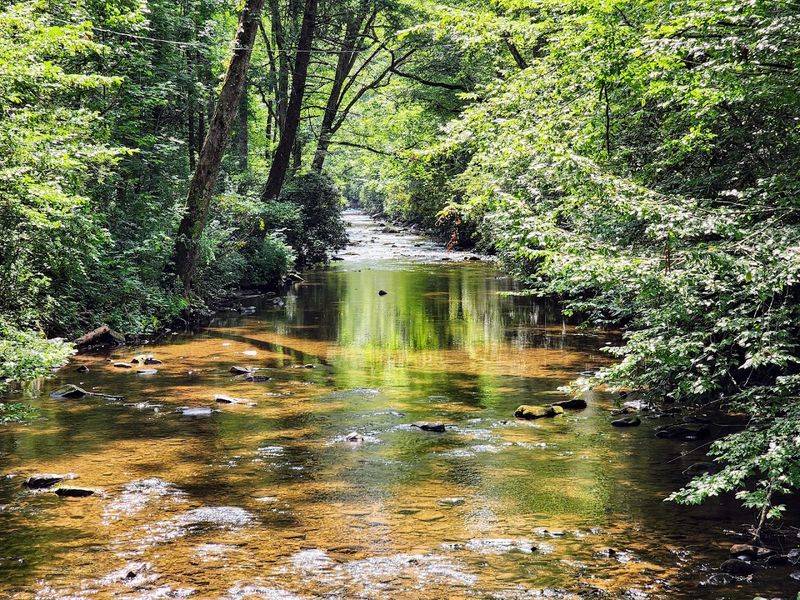 Mills River - Mills River, Henderson County
