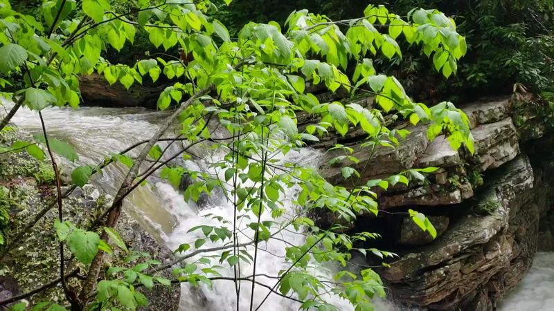 The Cascades - Pembroke, Giles County