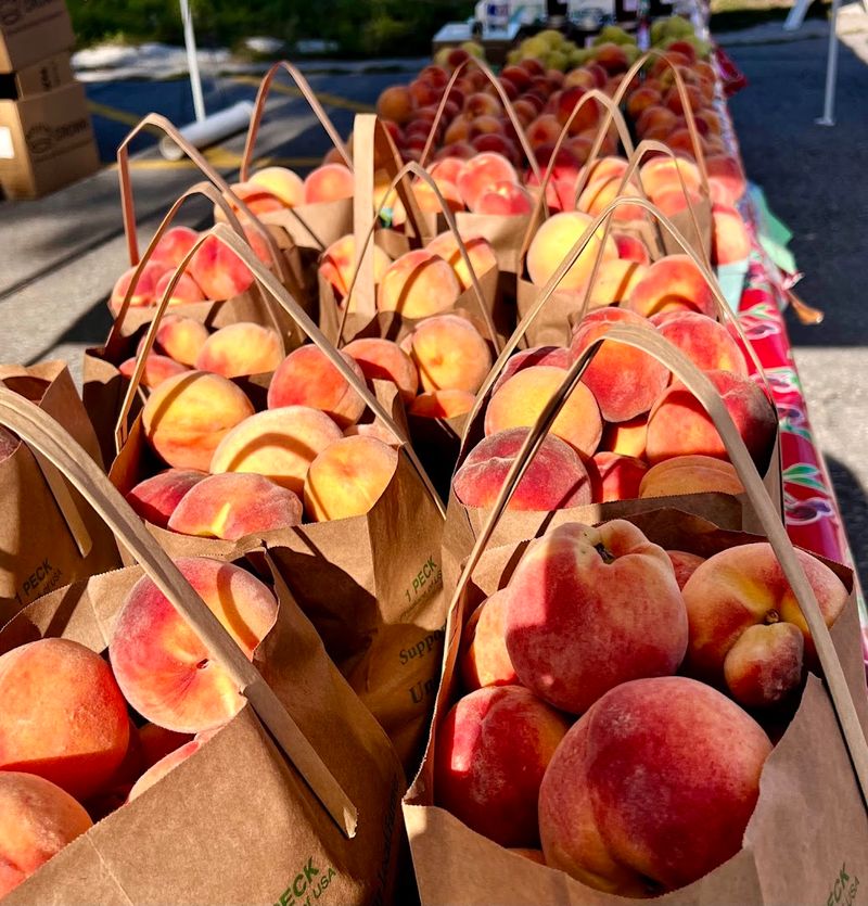 Sara Hardy Downtown Farmers Market 