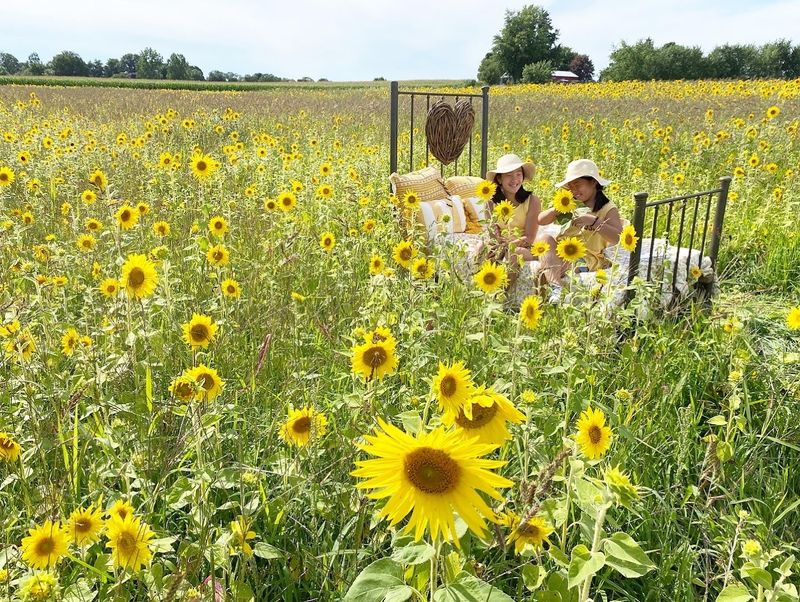 Ed Dunneback & Girls Farm