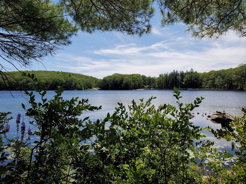 Beartown State Forest - Monterey, Berkshire County