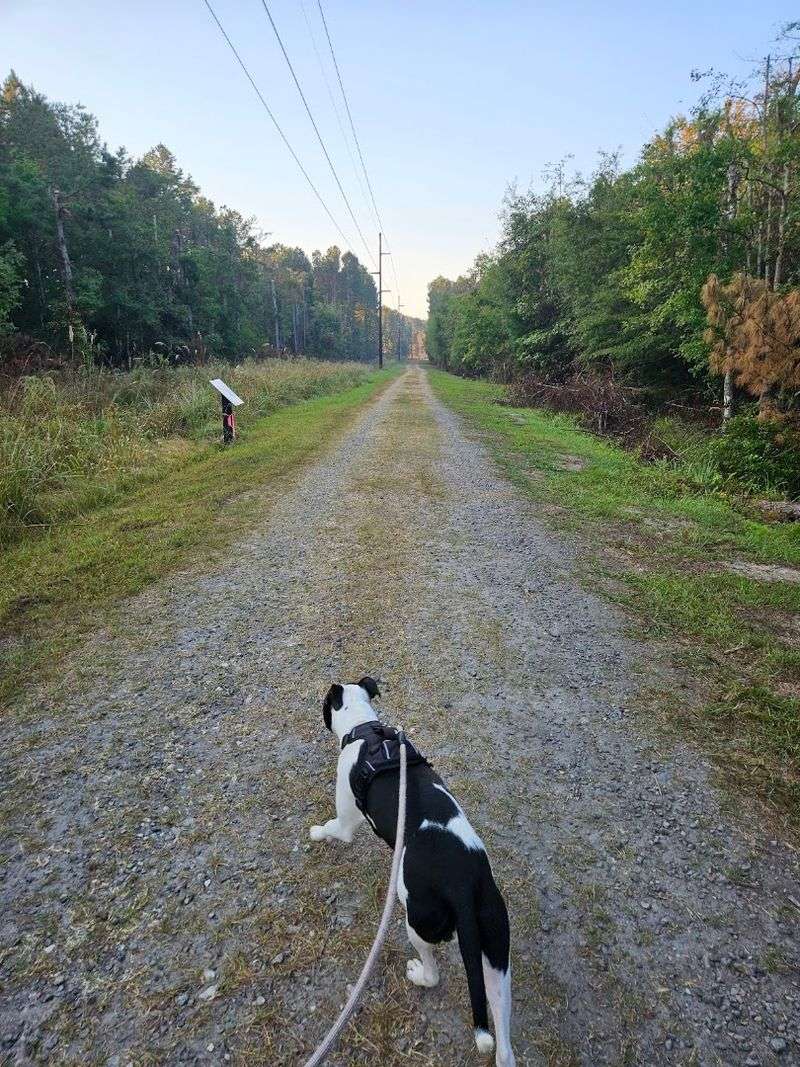 New River Linear Trail