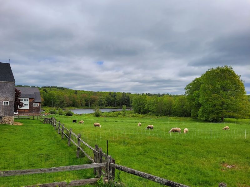 Wachusett Meadow Wildlife Sanctuary - Princeton, Worcester County