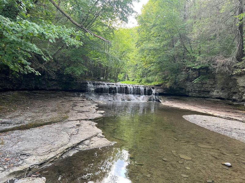 Robert H. Treman State Park (Ithaca)