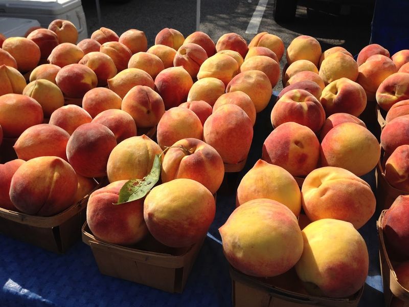 Chapel Hill Farmers' Market - Chapel Hill, NC