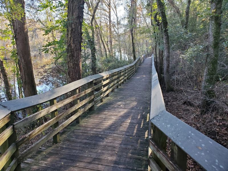 Woodland Trail Adventures