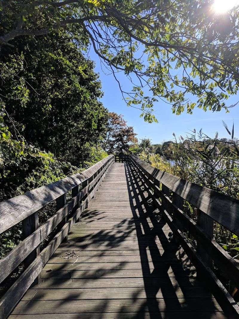 Bluff Point State Park Loop Trail (Bike-Friendly Sections)