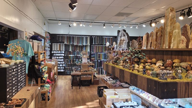 A & A Rockshop — Lexington