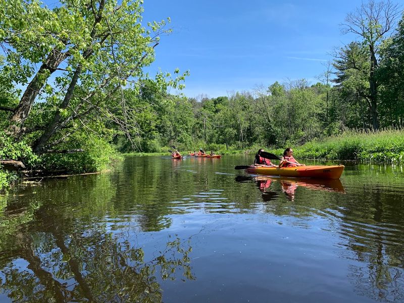 Willowdale State Forest - Topsfield, Essex County