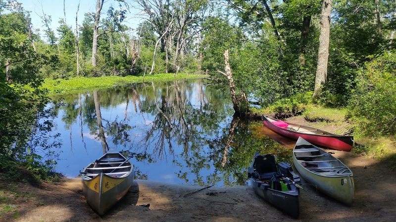 Ipswich River Wildlife Sanctuary - Topsfield, Essex County