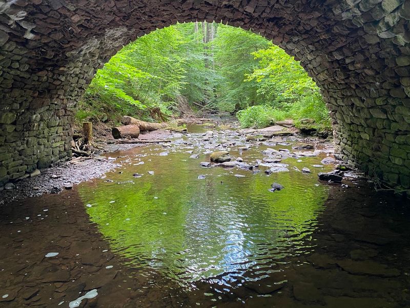 Wadsworth Falls State Park - Middletown, Middlesex County