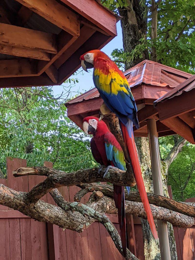 Explore the Walk-Through Aviary for a More Immersive Experience