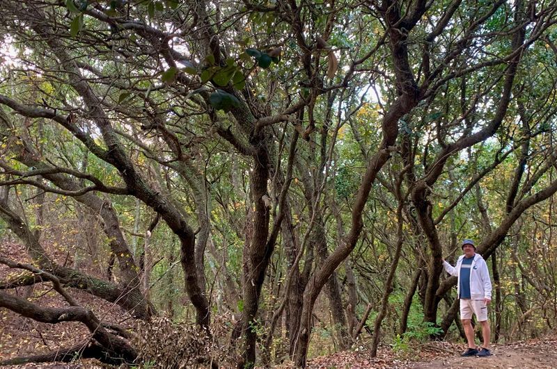 Beyond the Dunes: Hidden Ecosystems to Explore