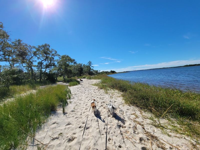 Carolina Beach State Park Campground
