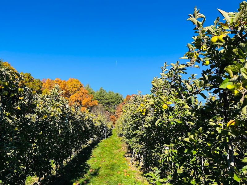 Honey Pot Hill Orchards - Stow, Middlesex County