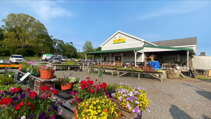 Sunshine Farm - Sherborn, Middlesex County