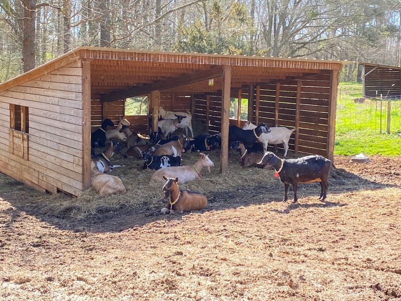 Split Creek Farm, LLC