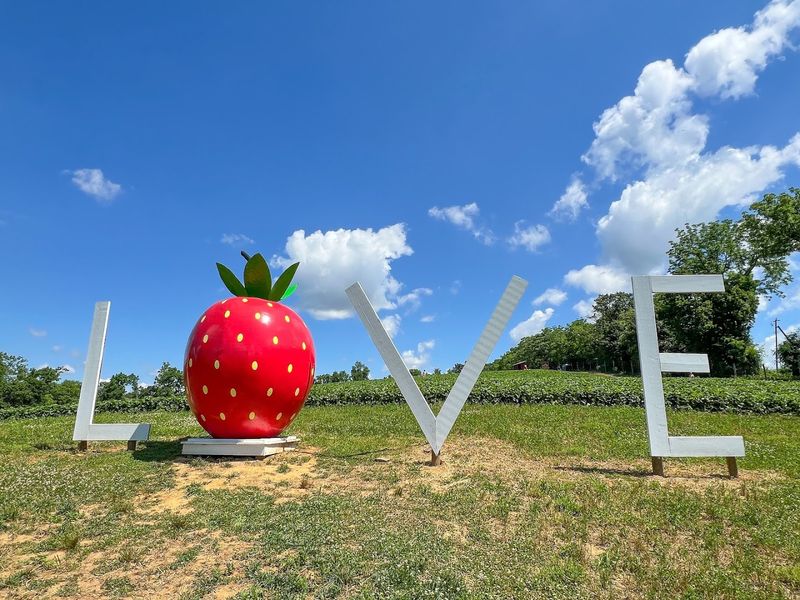 Wegmeyer Farms, Hamilton, Loudoun County