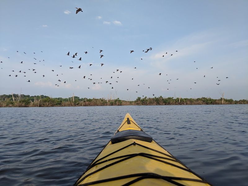 Port Louisa National Wildlife Refuge