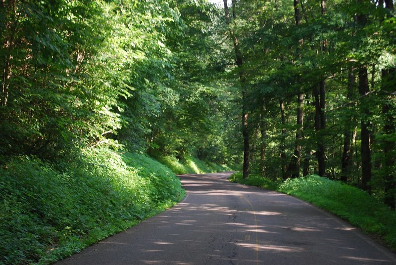 Mohican Valley Trail