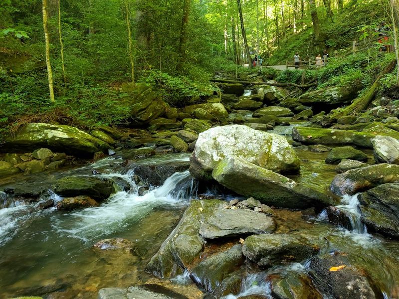 Anna Ruby Falls Trail &ndash; Near Unicoi State Park
