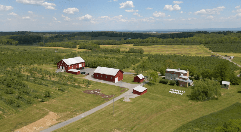 Homestead Orchard, Winchester, Frederick County