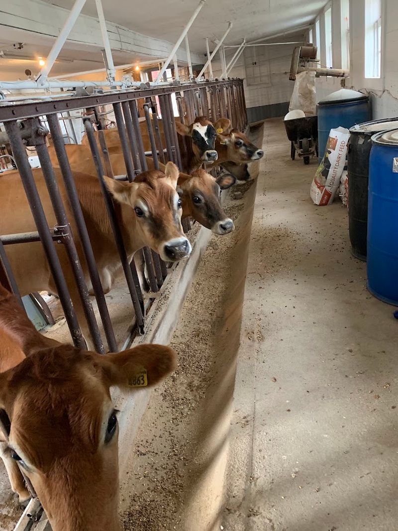 Hazelwood Farms Dairy