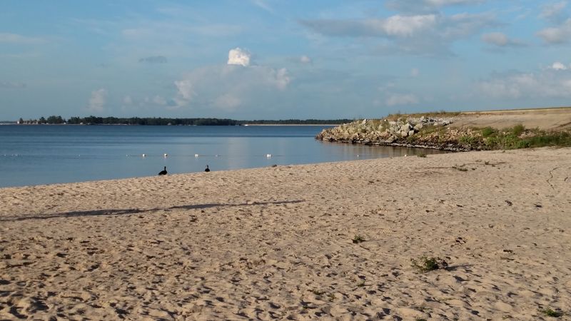 Lions Beach