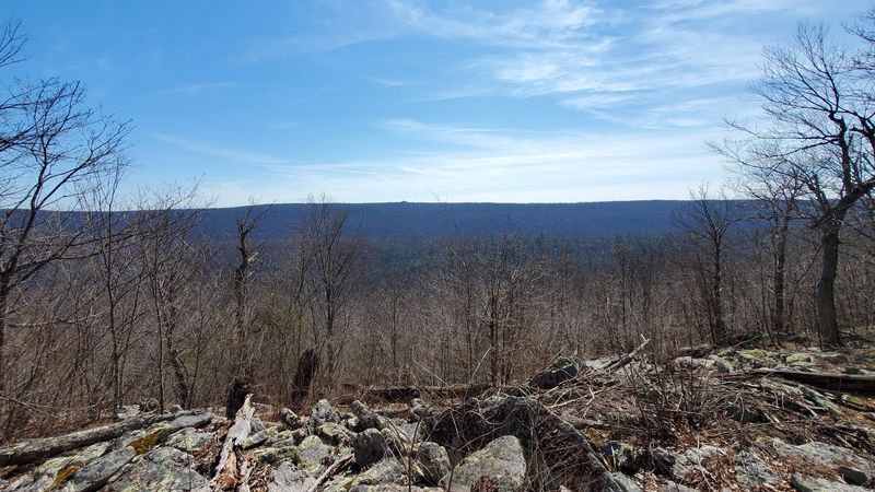 Tuscarora State Forest