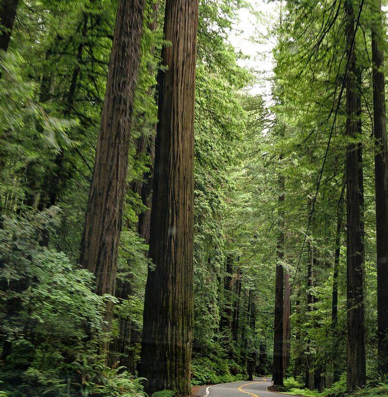 Best Scenic Pullouts and Photography Stops