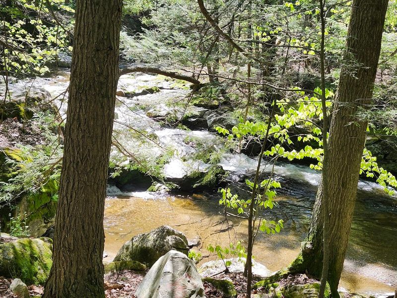 A Quiet Berkshire Discovery