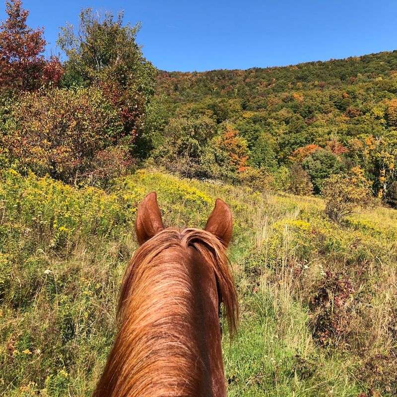 Windham Mountain Adventure Park Horseback Riding &mdash; Windham, New York