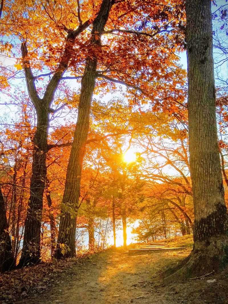 Autumn Transformation That Rivals Any Fall Foliage Destination