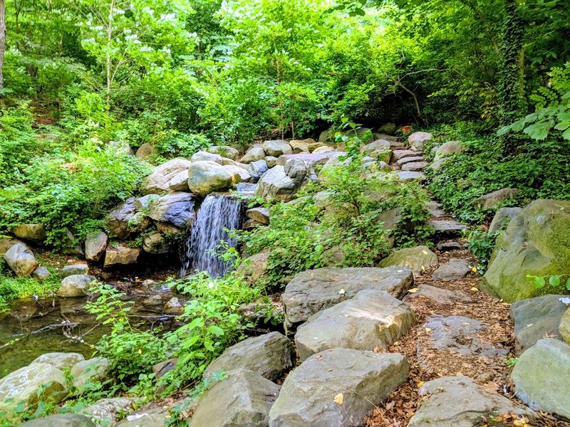 The Ravine