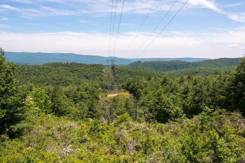 A Wild Corner of North Carolina Unlike Anywhere Else