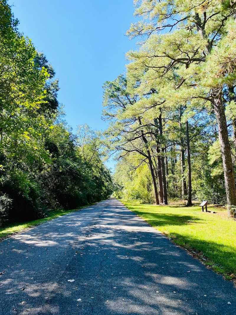 Dismal Swamp Canal Trail