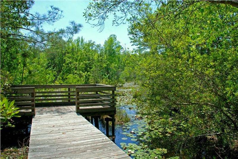 Gordonia-Alatamaha State Park - Reidsville, Tattnall County
